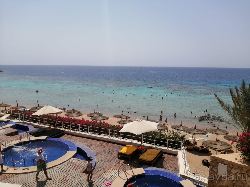 Отличный отель с шикарным рифом