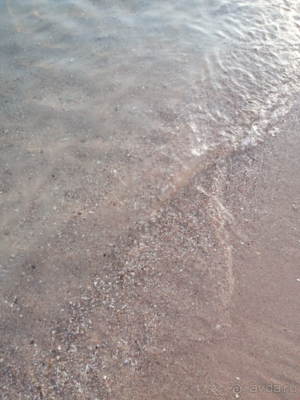 Отличный отель с шикарным рифом