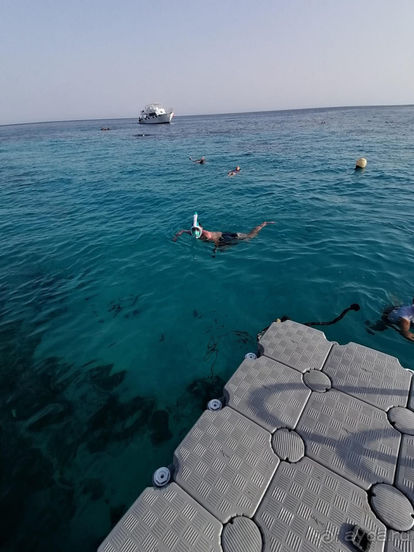 Отличный отель с шикарным рифом