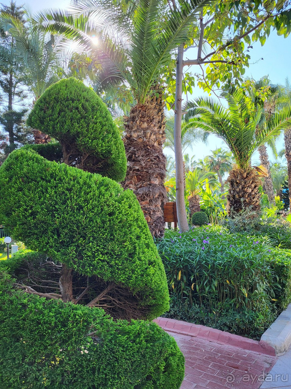 Отель на твёрдую 4!