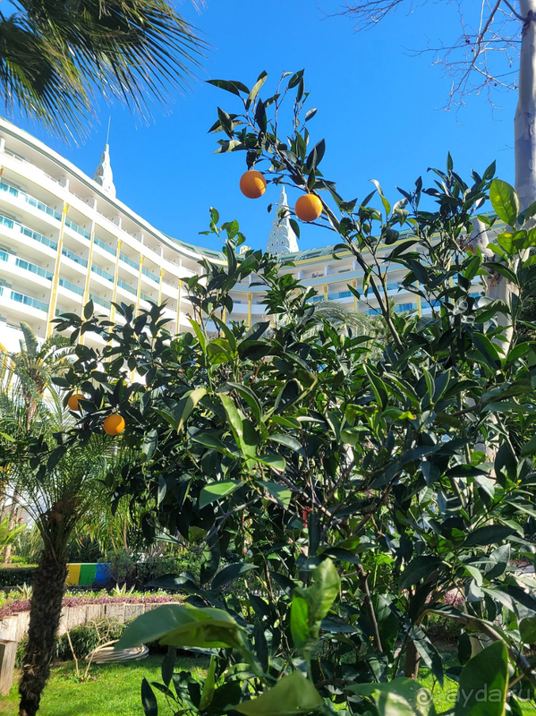 Соглашусь с положительными отзывами.