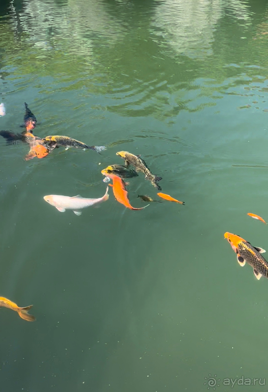 Райское место для отдыхающих