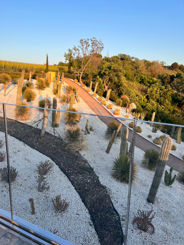 Райское место для отдыхающих