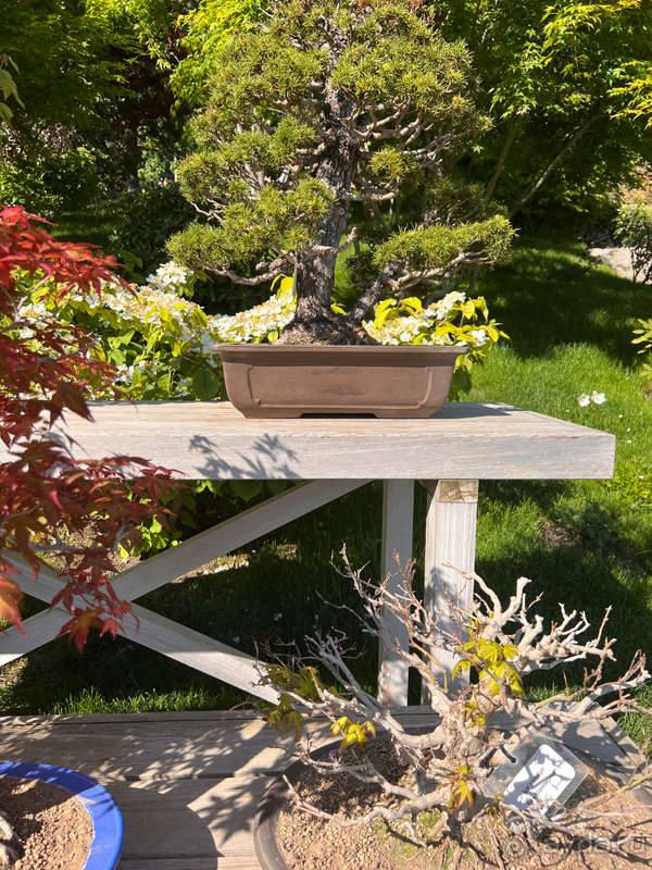 Райское место для отдыхающих