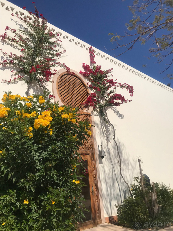 Единственный отель, в котором соотношение цены и качества достойно.