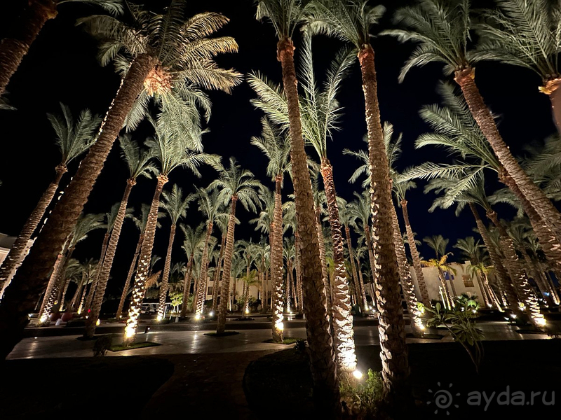 фото Grand Rotana Resort & SPA