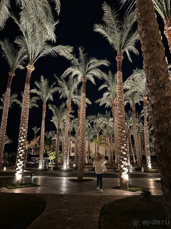 фото Grand Rotana Resort & SPA