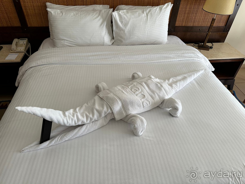 Всё супер, наш отдых прошёл замечательно