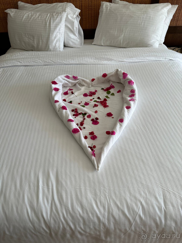 Всё супер, наш отдых прошёл замечательно