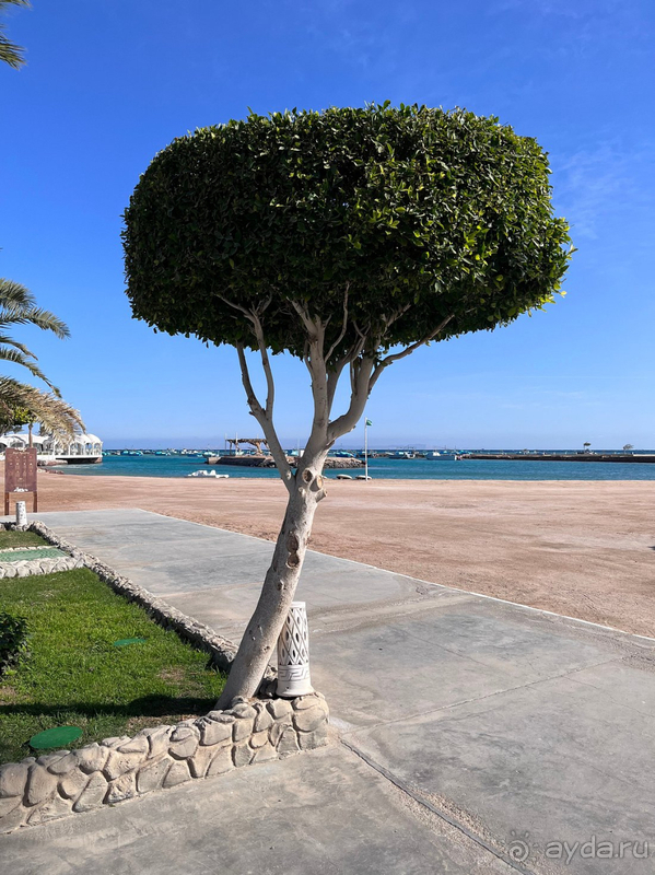 Хороший отель в Хургаде