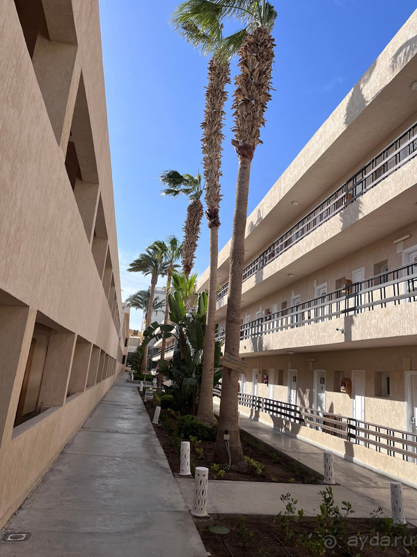 Хороший отель в Хургаде Хороший отель в Хургаде