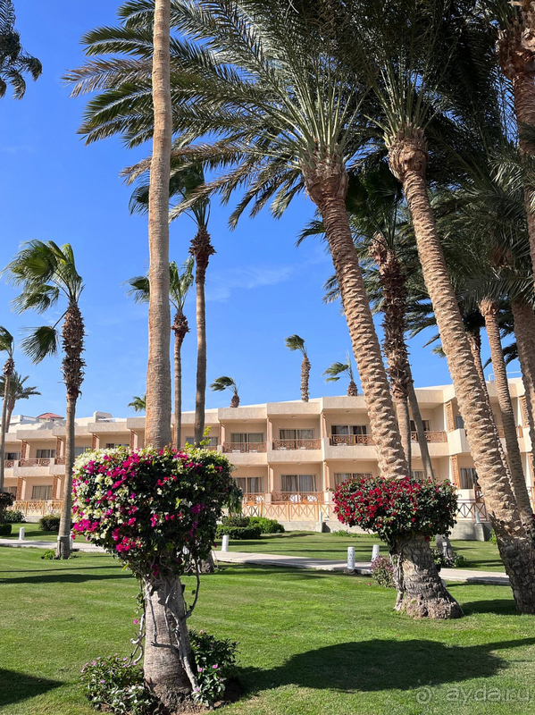 Хороший отель в Хургаде