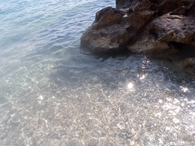 фото Tal Beach Hotel