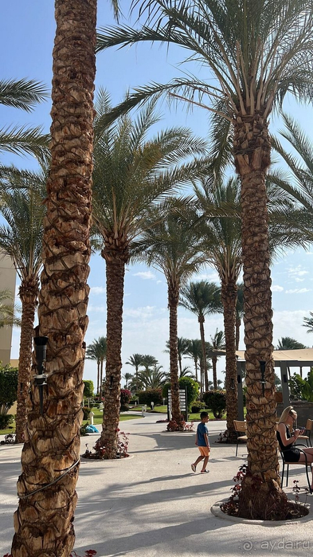 Хороший отель, хороший персонал, хорошая еда