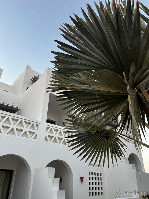 Отличный отель! 