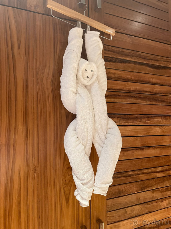 Шикарный отдых в Аралии!