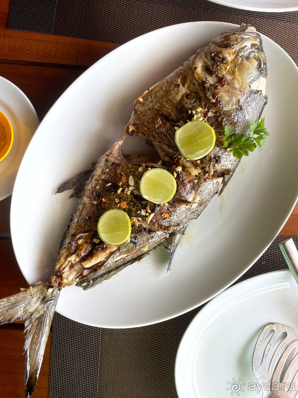 Шикарный отдых в Аралии!