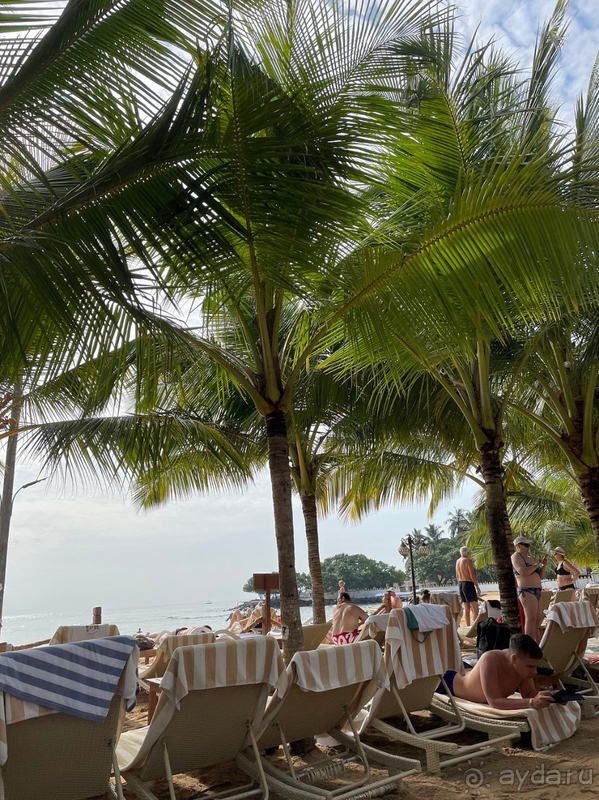 Шикарный отдых в Аралии!