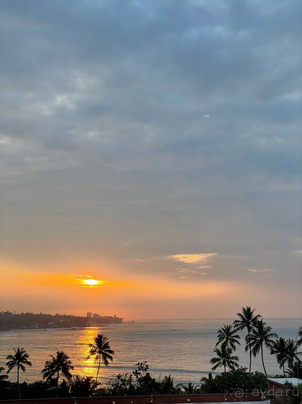 Шикарный отдых в Аралии!