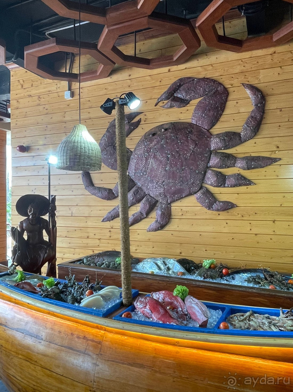 Шикарный отдых в Аралии!