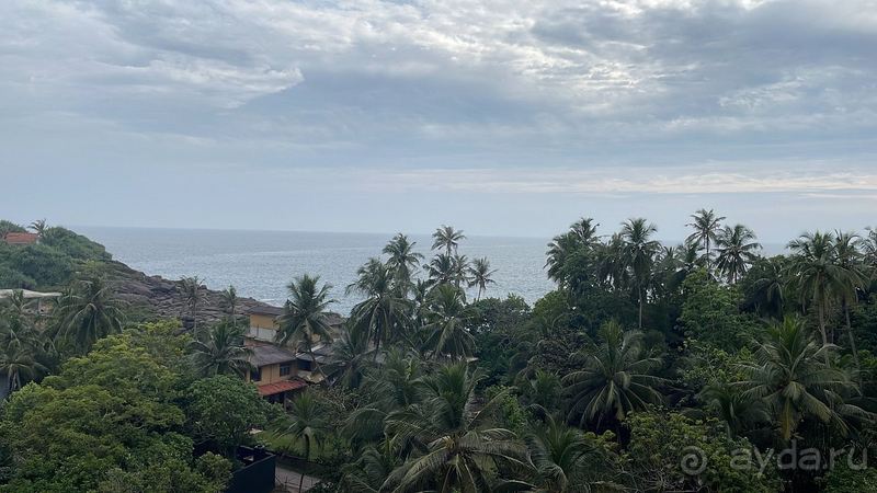 Шикарный отдых в Аралии!