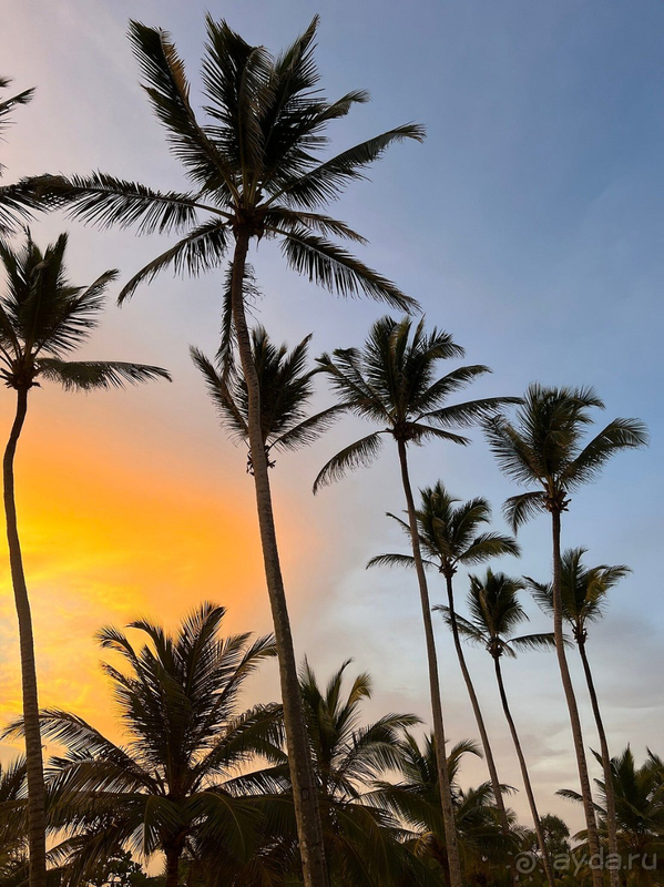 Отель хороший, особенно для Азии. Есть момент по волнам и анимации, но очень стараются, думаю, лучше, чем много где:))