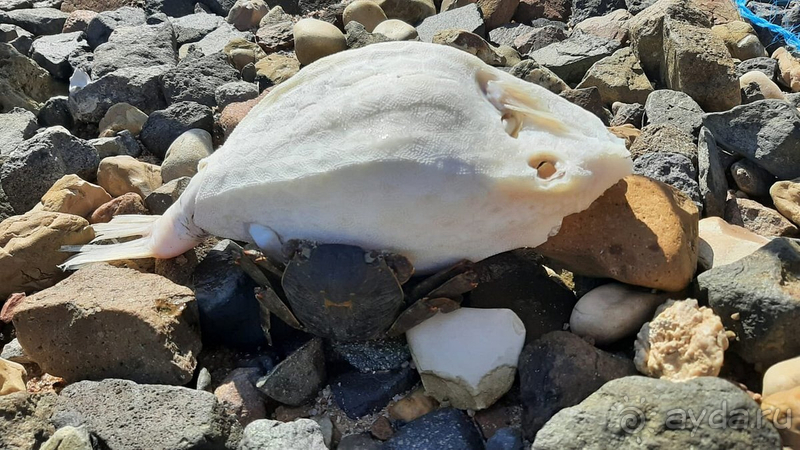 Не рекомендую отель