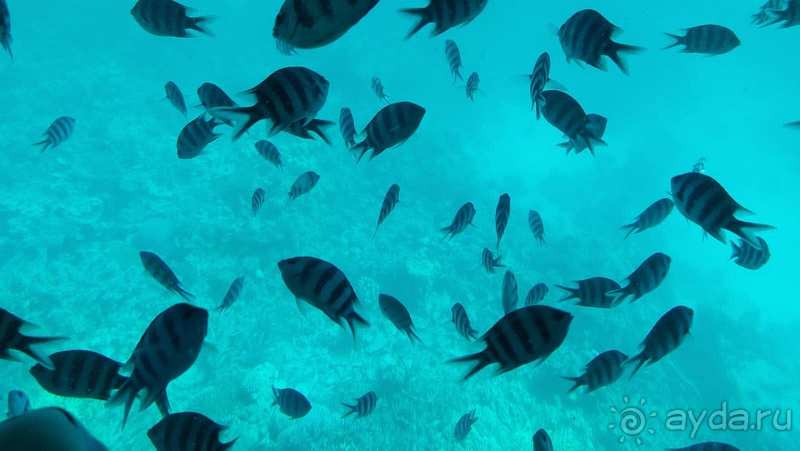 Не рекомендую отель