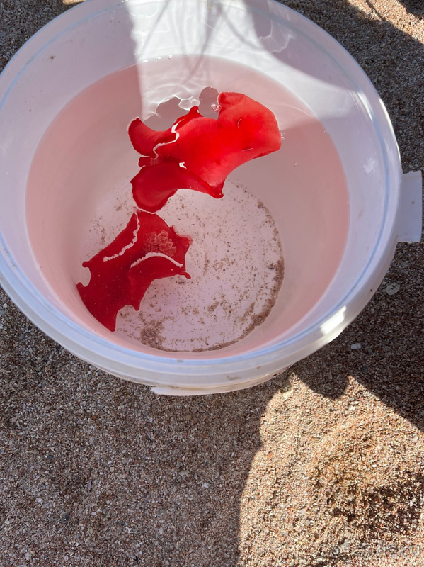 Не рекомендую отель