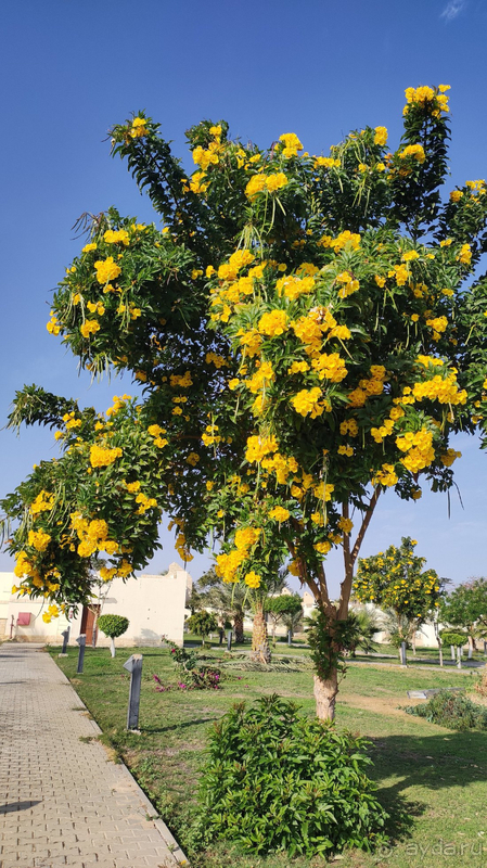 Хороший отель в Хургаде