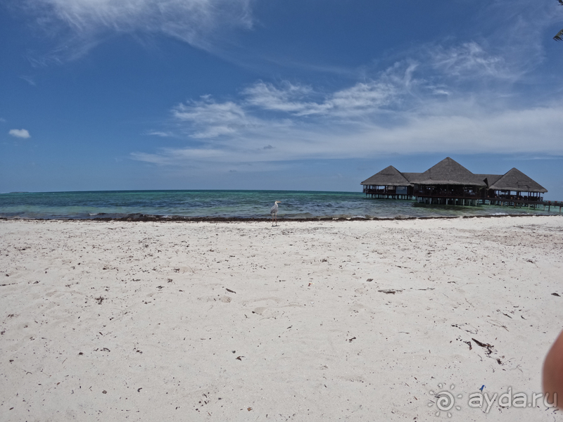 вообще то это 4ка, а не 5ка.. или уставшая 5ка.. кому как нравится