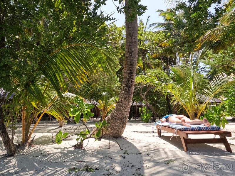 вообще то это 4ка, а не 5ка.. или уставшая 5ка.. кому как нравится