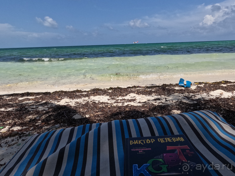 вообще то это 4ка, а не 5ка.. или уставшая 5ка.. кому как нравится