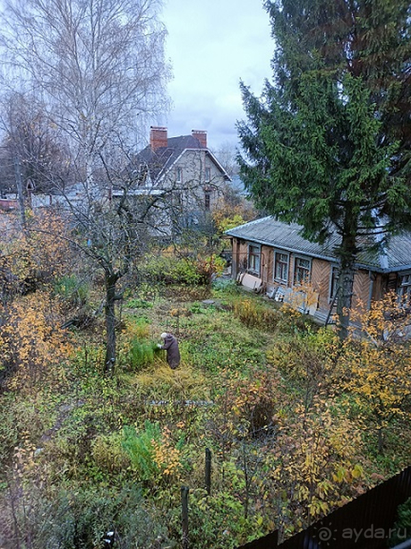 Интересная гостиница, но есть и минусы