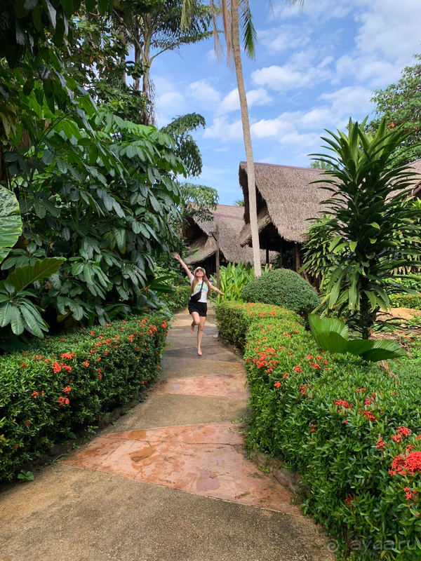 Хороший отель для бюджетного отдыха на острове Ко Чанг