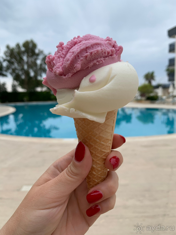 Отличный отель для городского отдыха в Алании