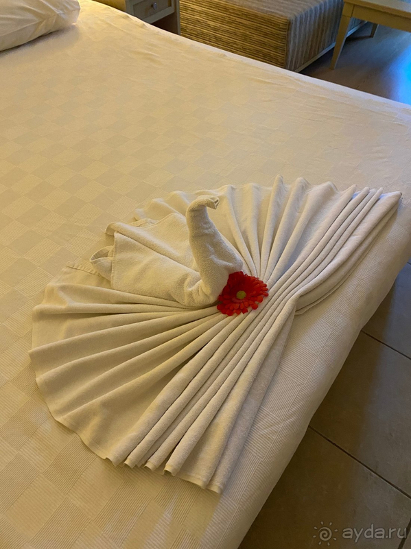 Это просто ПОТРЯСАЮЩИЙ отель