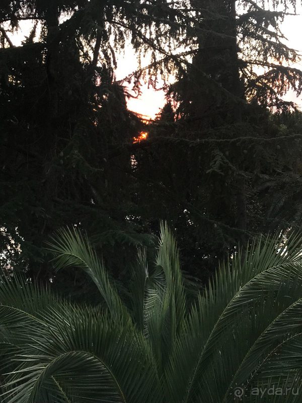 Отдых в отеле "Жоэквара"