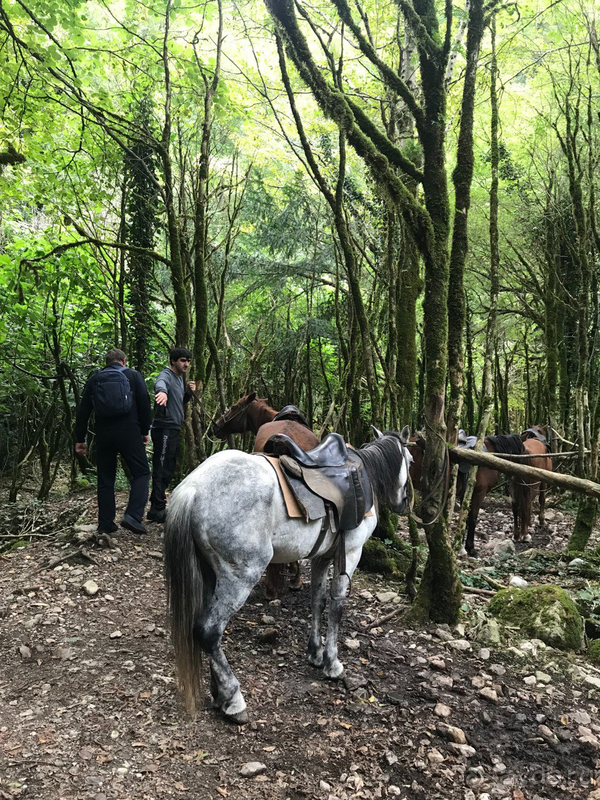 Отдых в отеле "Жоэквара"