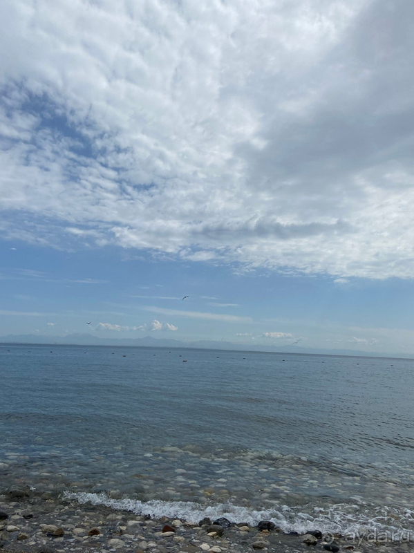 Отель стал нашим любимым!!!