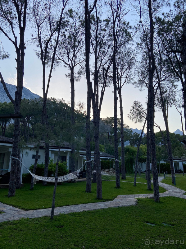 Отель стал нашим любимым!!!