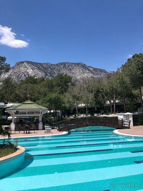 Отель стал нашим любимым!!!