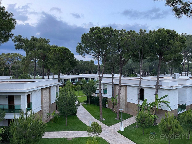 Альбом отзыва "ВЕЛИКОЛЕПНЫЙ ОТДЫХ!"