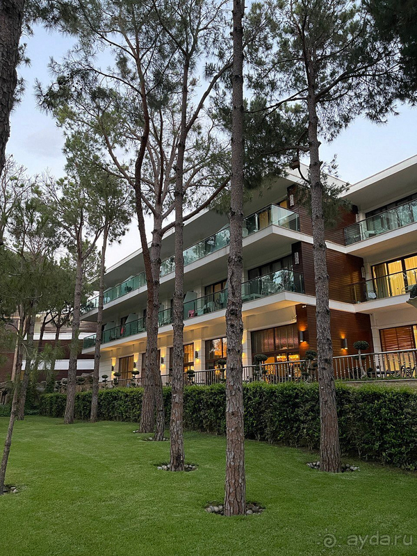 Альбом отзыва "ВЕЛИКОЛЕПНЫЙ ОТДЫХ!"