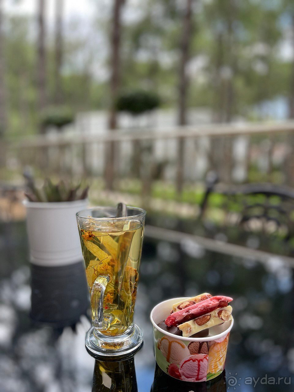 Альбом отзыва "ВЕЛИКОЛЕПНЫЙ ОТДЫХ!"