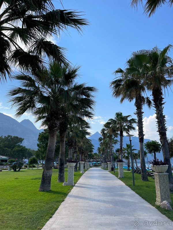 ВЕЛИКОЛЕПНЫЙ ОТДЫХ!