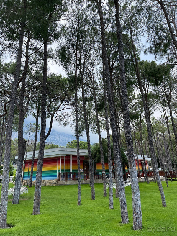 ВЕЛИКОЛЕПНЫЙ ОТДЫХ!