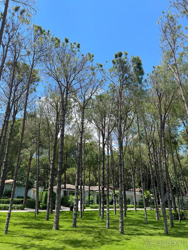 ВЕЛИКОЛЕПНЫЙ ОТДЫХ!