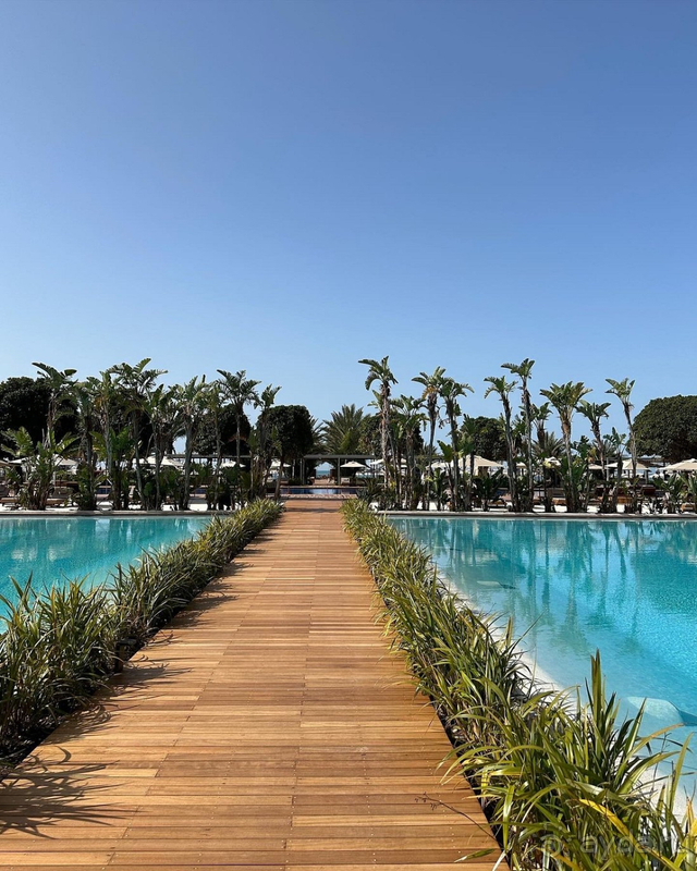 Отзыв о Maxx Royal