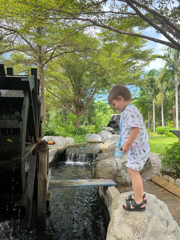 Выходные в Xanadu